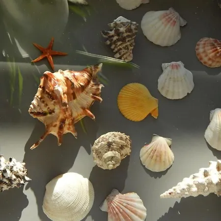 Dom wakacyjny 4 Boehler Butendiek Comfortable